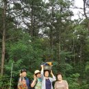 월곶초교 이미지