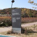 동탄 여울공원 축구장 이미지