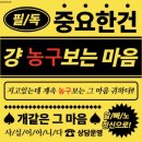 미건빌딩 | 왜요 제가 창단 첫 챔피언 구단 팬으로 보이시나요? 정답!