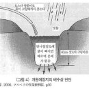 블루베리 개원 이미지