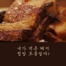 내가 돼지라니 이미지