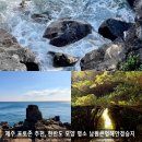 남원해안경승지(큰엉) | 제주 포토존 추천, 한반도 모양 명소 남원큰엉해안경승지