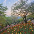 박달나무쉼터 옆 | 연희숲속쉼터 홍제천 인공폭포 가는법 주차 서울 연희동 가볼만한 곳