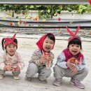 도리원초등학교 이미지