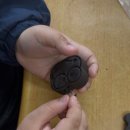 서일초등학교 이미지