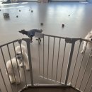 해멍달멍 이미지