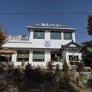 코다리명가 | 안산 점심 맛집 코다리명가 후기