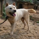 진골농장 이미지