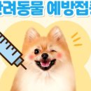 키다리아저씨 동물병원 이미지