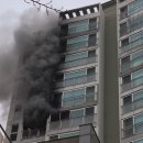 석관동8 이미지