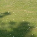 123실외골프연습장 이미지