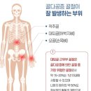 유신태권도장 이미지