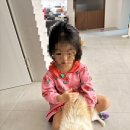 더케이 동물병원 | 콩실이 PDA 수술 후기 / SD동물병원