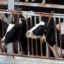 고시농장 이미지