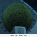 📖 30년이 지나도 여전히 날카로운 질문을 던지는 작품 - 기생수 완독 후기