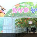 바나나생태나라 네이버블로그