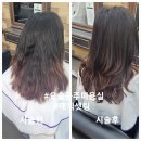 요술공주 미용실