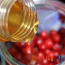 앵두청과