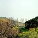 운산목장 이미지