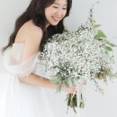 바네스헤어 이미지