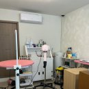 펫피르그루밍 이미지