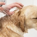 세중참사랑아파트 이미지