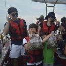 한솔낚시 이미지