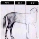 카페애드립