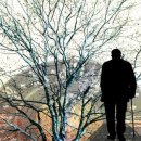 멘파워비뇨기과 이미지