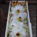 제일장의사 이미지