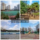 수지체육공원 풋살장 이미지