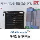 대이점블루핸즈