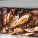 신명낚시 이미지