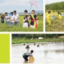 제1회 강진 작천 황금들 메뚜기 축제(10/2~3) 이미지