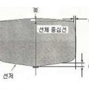 건현수선