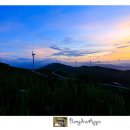 매봉산 바람의언덕 이미지