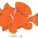 어류도감 - 아귀目 - 씬벵이科 - 흑점박씬벵이 이미지