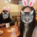 경은상회 이미지