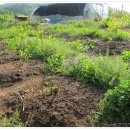 옥현농장 이미지