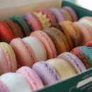 더스쿱 스쿱당 이미지