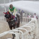 다이아로드 이미지