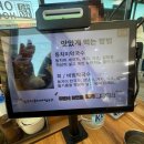 강릉동치미막국수 | 강릉 현지인 맛집 추천, 삼교리동치미막국수 강릉본점 방문 후기