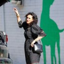 윌리스펫 이미지