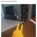 오리천국 이미지