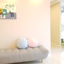 청담펫츠 이미지