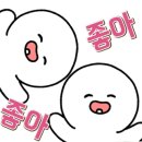 돈다리족발