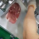 참조은생포크 이미지