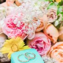 토브하우스 이미지