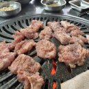 오돌뼈와막창골 네이버블로그