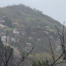 내검농장 이미지